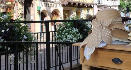 Renovated Apartment with Balcony, Near Colmar Center