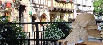 Renovated Apartment with Balcony, Near Colmar Center