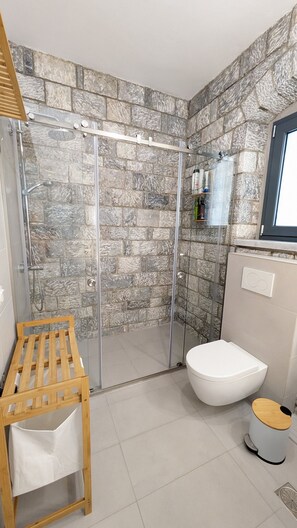 Shower, hair dryer, towels, soap