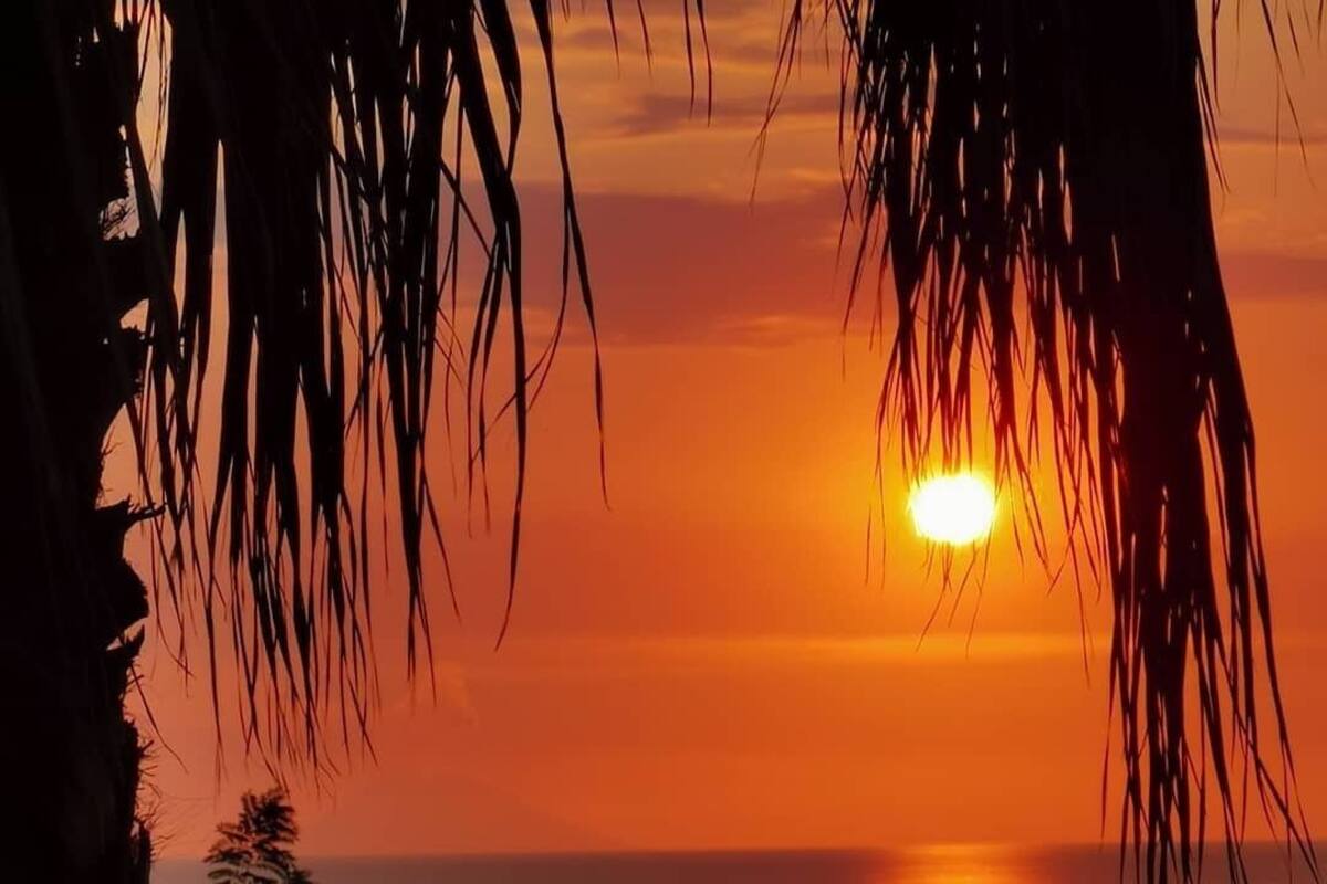 A sunset over a body of water with silhouettes of palm trees and a distant shoreline.