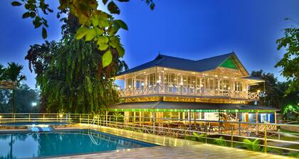 MGM Whispering Wind's Yelagiri