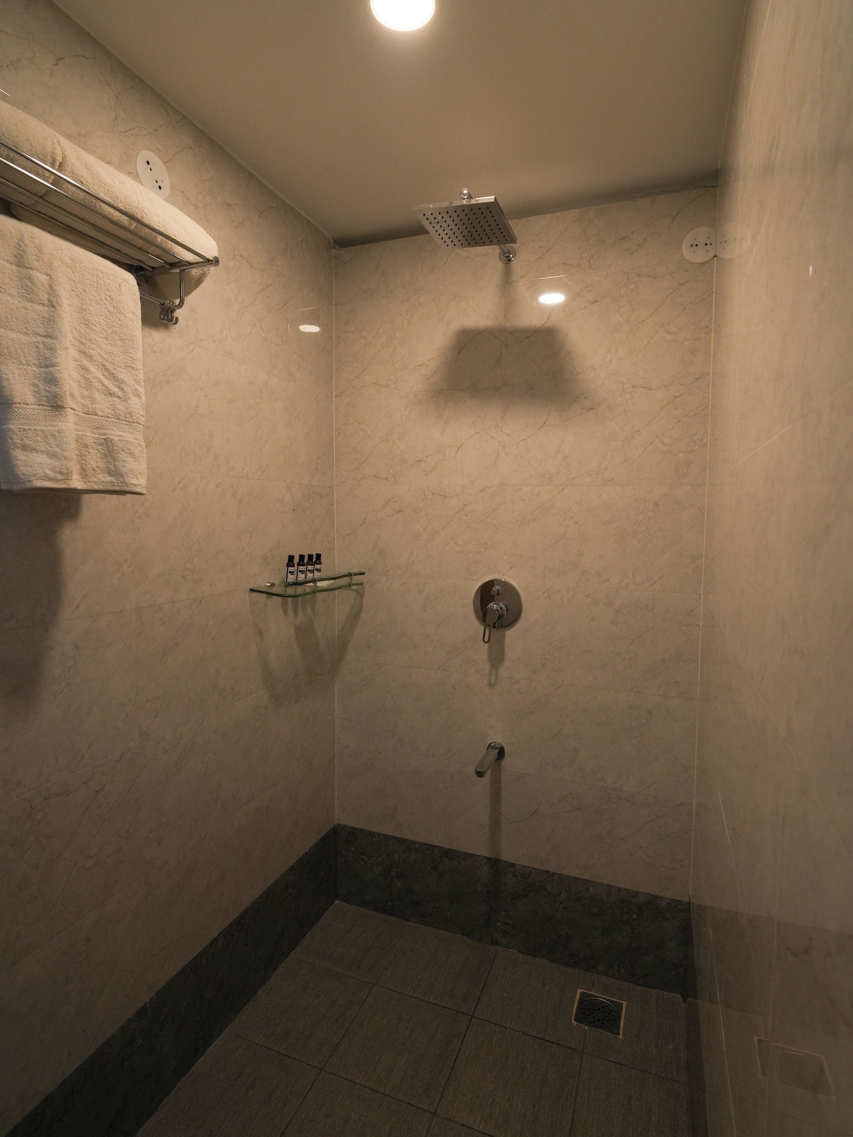 A small, enclosed shower area with a glass door, a towel rack, and a shelf with toiletries.