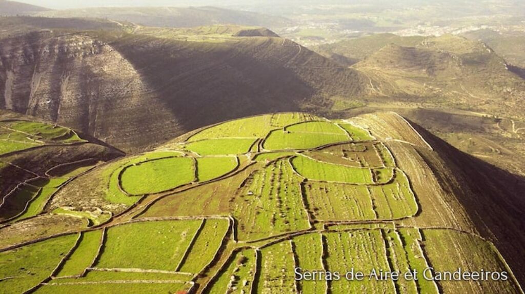An aerial view of terraced fields in a hilly landscape.