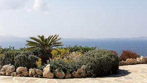 A landscaped garden with a palm tree, various shrubs, and rocks, leading to a view of the sea. - Elanora Villa (Stelida)