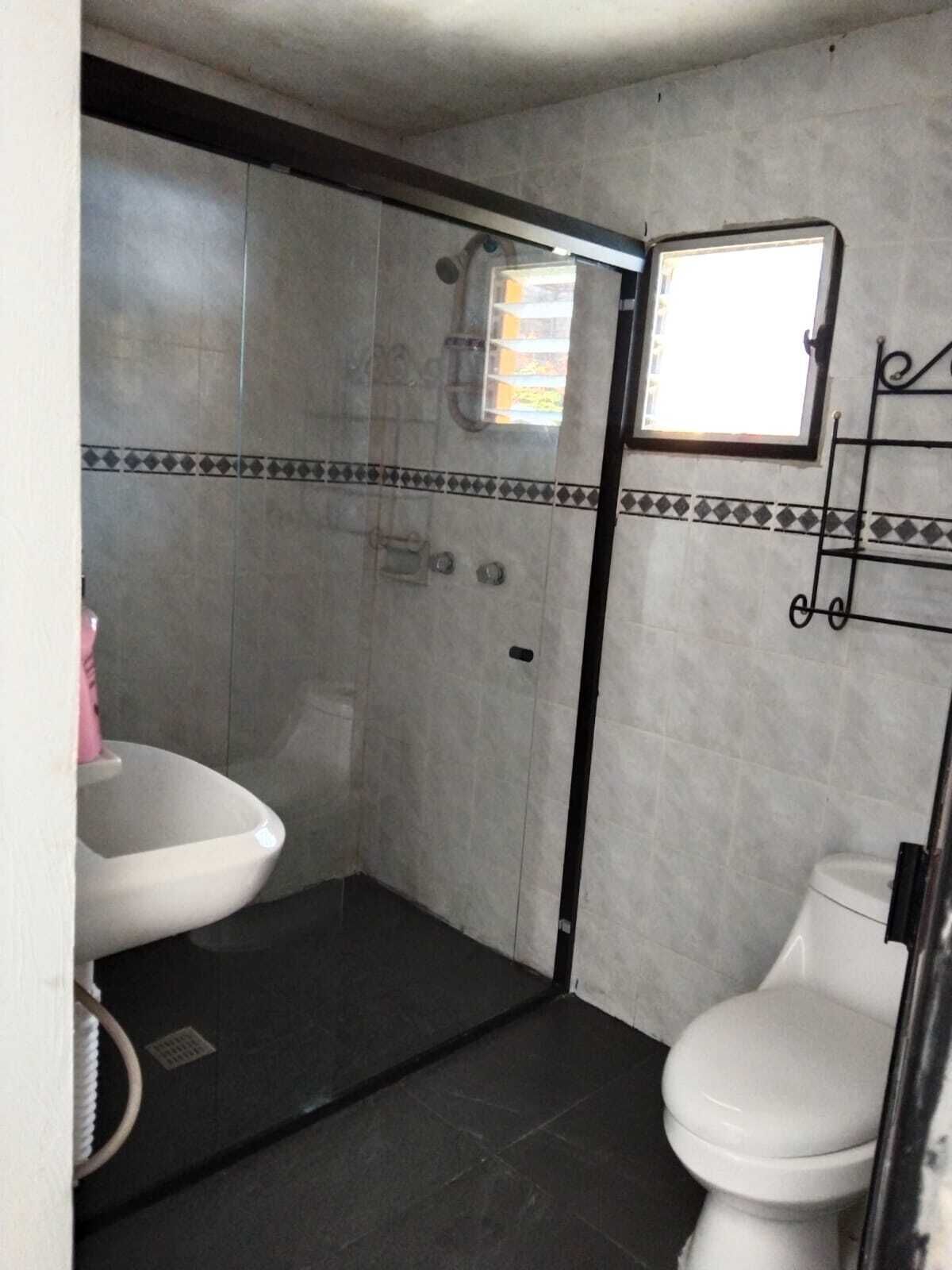 Une salle de bain avec douche, toilettes et lavabo.