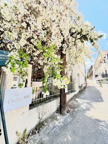 Oelia Rooms & Apartments 