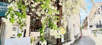 Oelia Rooms & Apartments