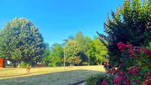 Un parque con un sendero pavimentado, césped verde y árboles.