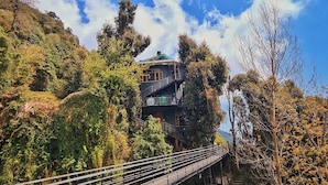 A multi-story building with a staircase leading to the upper levels, surrounded by dense foliage. - EDM Hostel (Dharamshala)