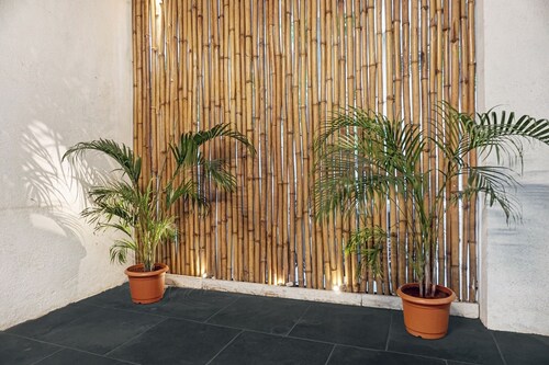 Townhouse 1294 Sky View Inn