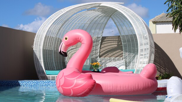 A swimming pool with inflatable flamingo floats and a white, curved, woven structure in the background. - Island House Curacao near Curacao International Airport (Willemstad)