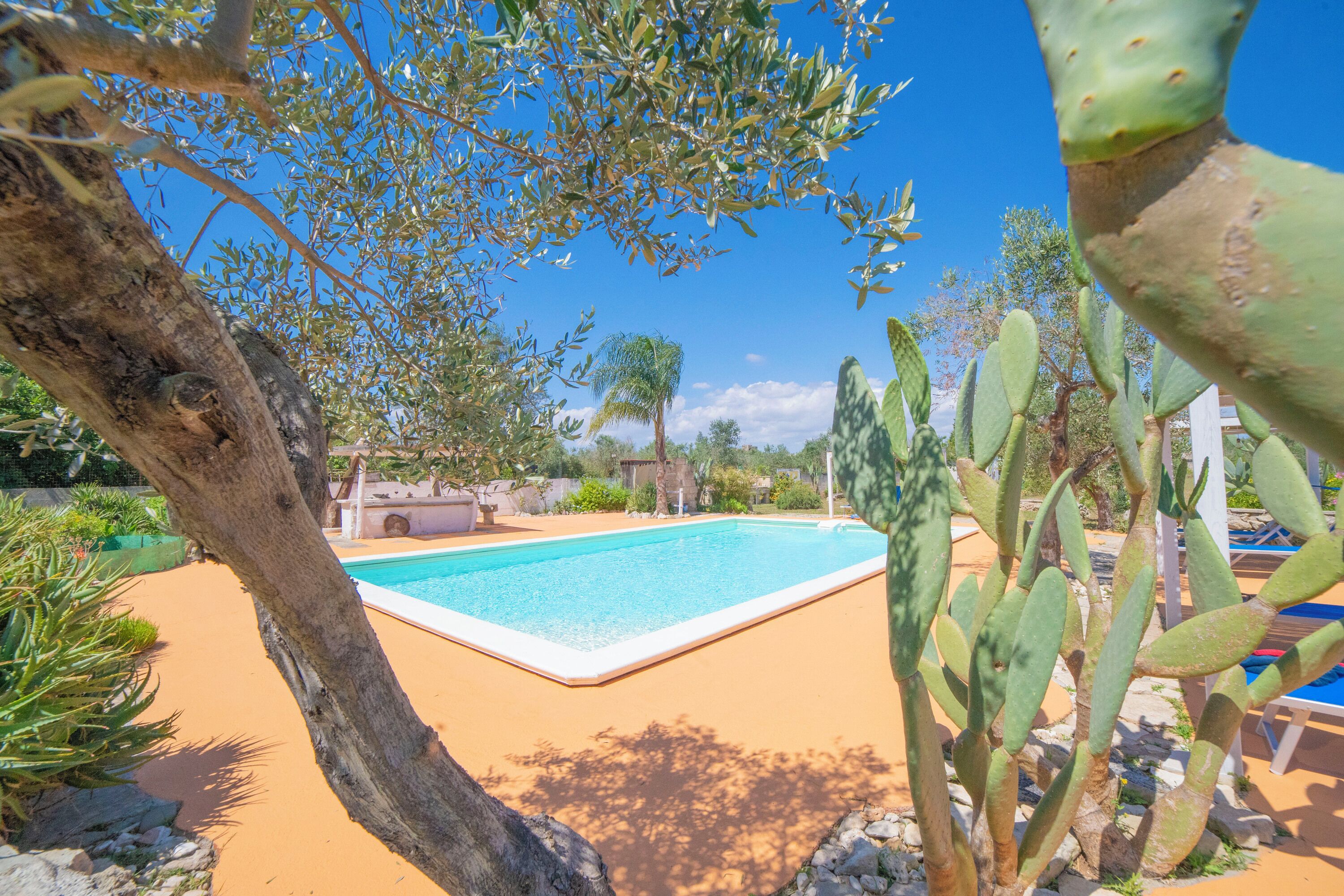 Seasonal outdoor pool