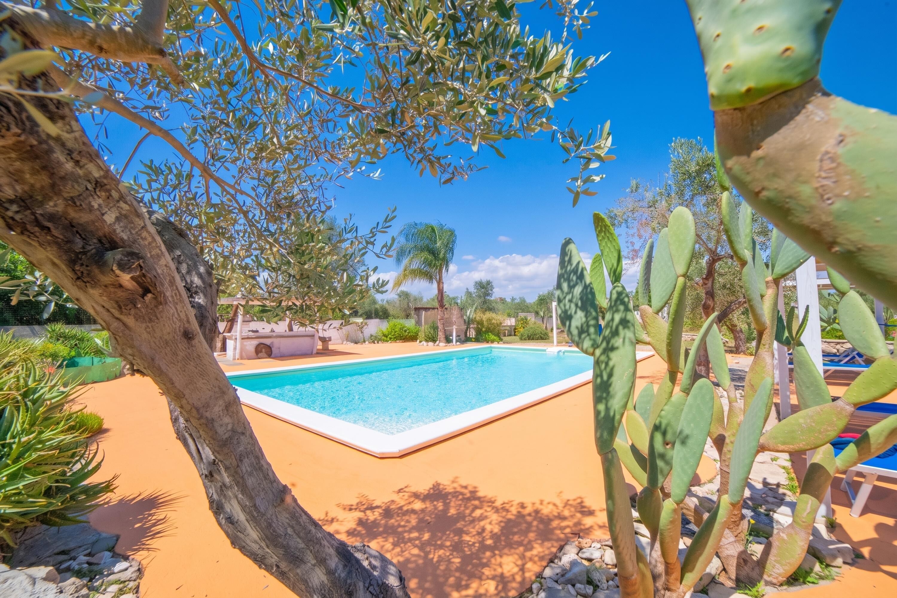 A swimming pool surrounded by cacti and a tree, with a clear blue sky in the background.