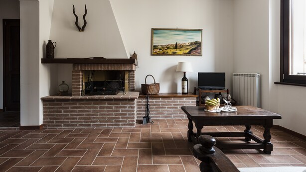 Een woonkamer met een open haard van baksteen, een televisie en een tafel met fruit en een wijnglas.