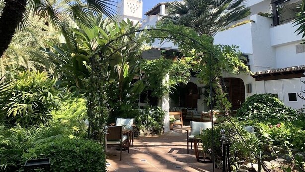 Un patio con un edificio blanco, una palmera y un camino de piedra.