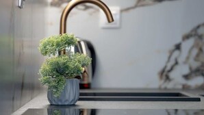 Eine moderne Küche mit einem Bogen-Wasserhahn, einem Topfpflanzen und einer Marmor-Spritzschutzwand.