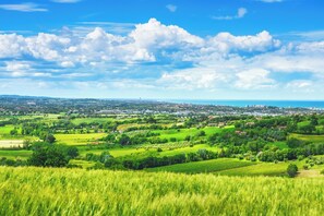 Unclassified image, 4 of 22, button