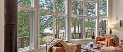 Smart TV, fireplace, books