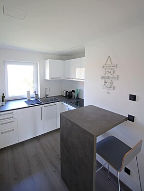 Private kitchen - 3-zimmer Apartment mit Balkon Apartment Nr. 2 (Herzogenaurach)