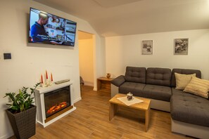 Flat-screen TV, fireplace - Vineyard cottage Majolka (Novo Mesto)