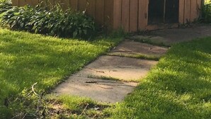 Ein kleines Holzgebäude mit Tür und Fenstern, gelegen auf einer Rasenfläche mit einem Betonweg, der dorthin führt.