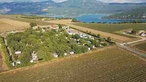 Ein Weinberg mit Rebenreihen, eine Gruppe von Gebäuden und ein See im Hintergrund.