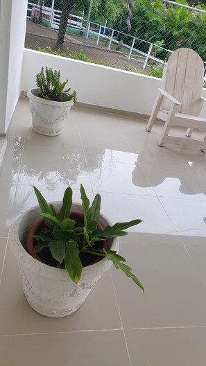 Property grounds - Villa Sonia (Juan Baron)