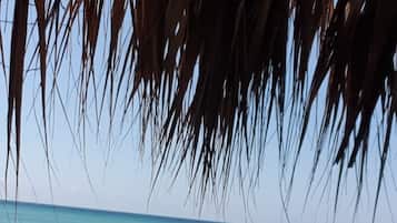 Playa en los alrededores, camastros y toallas de playa