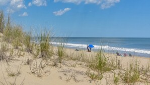 A beach with sand dunes and sparse vegetation. - Sunchaser 407 - 2br/2baths at 36th St, steps to beach, elevator &2 car parking (Ocean City)