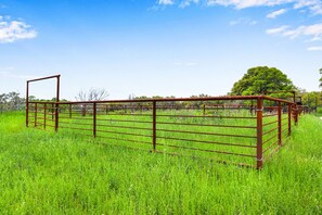 Property grounds - Expansive Ranch on 2,001 Acres | Shared Pool & Hot Tub + Trails (Johnson City)