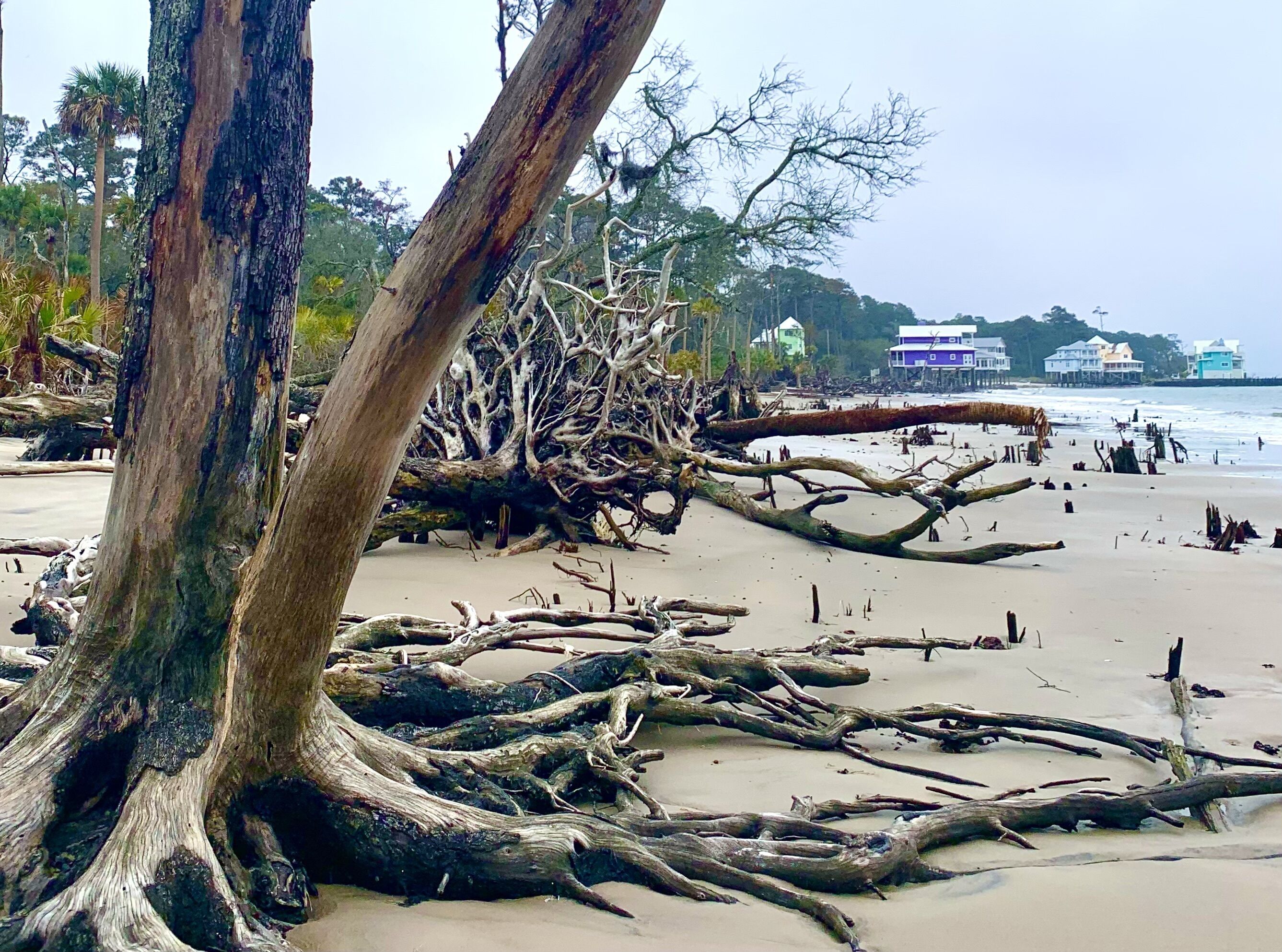 Playa en los alrededores y camastros 