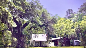 A rustic cabin with a porch, surrounded by large trees and a well-maintained lawn.
