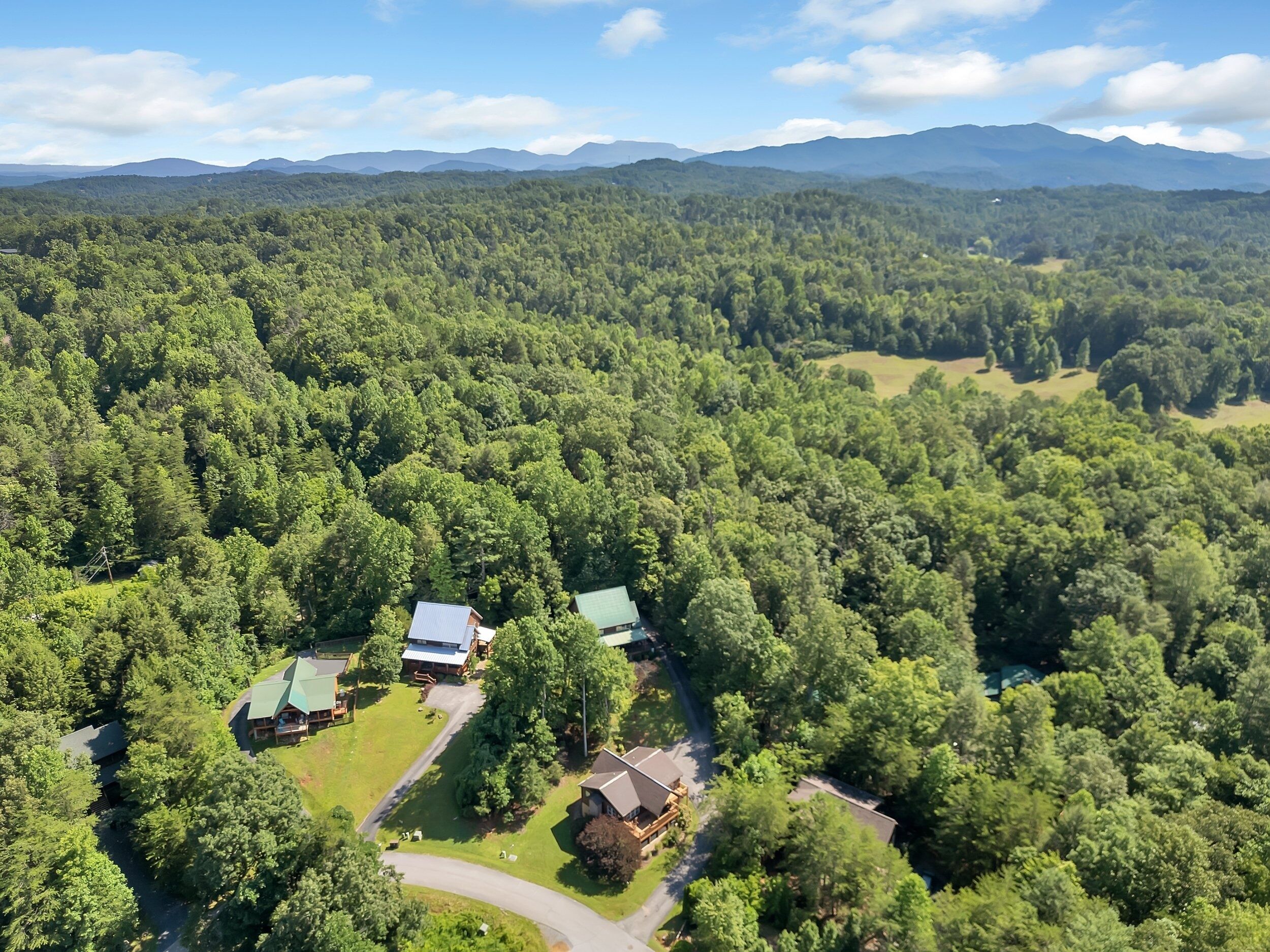 A remote cabin surrounded by dense forest, with a clear road leading to it.