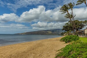 A beach with a clear sky, a sandy shore, and a mountain in the distance.