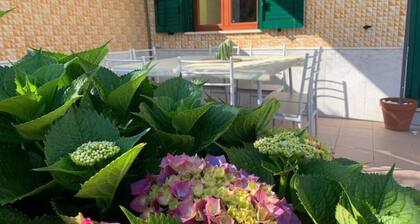 Mamma Caterina - Villa with garden - Procida