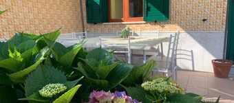 Mamma Caterina - Villa with garden - Procida