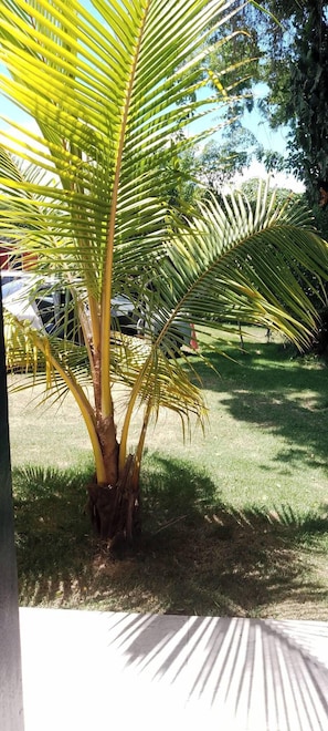 Comfort Studio Suite, 1 Double Bed, Pool View | Hypo-allergenic bedding, minibar, laptop workspace, blackout curtains