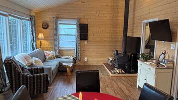 Smart TV, fireplace, books, music library