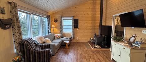 TV connectée, cheminée, livres, médiathèque