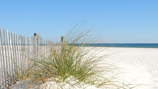 A sandy beach with a wooden fence and some grass in the foreground.