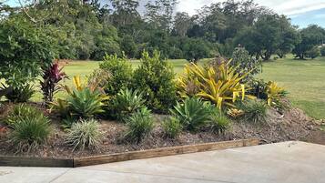 A landscaped garden with various plants and a concrete pathway.