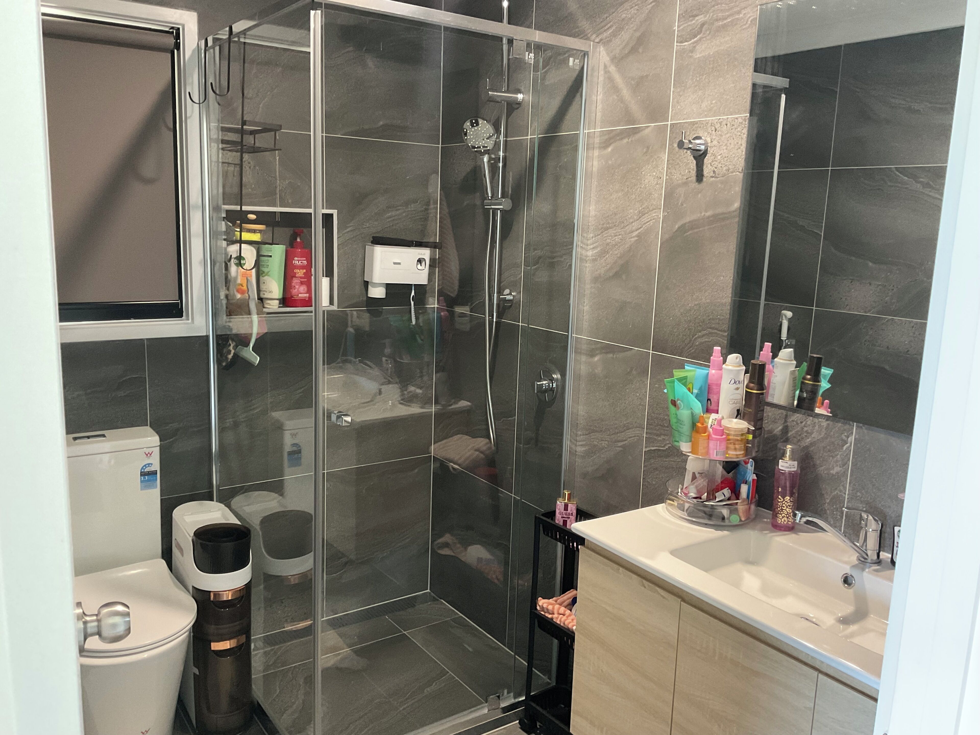 A modern bathroom with a glass-enclosed shower, a toilet, and a vanity with toiletries.