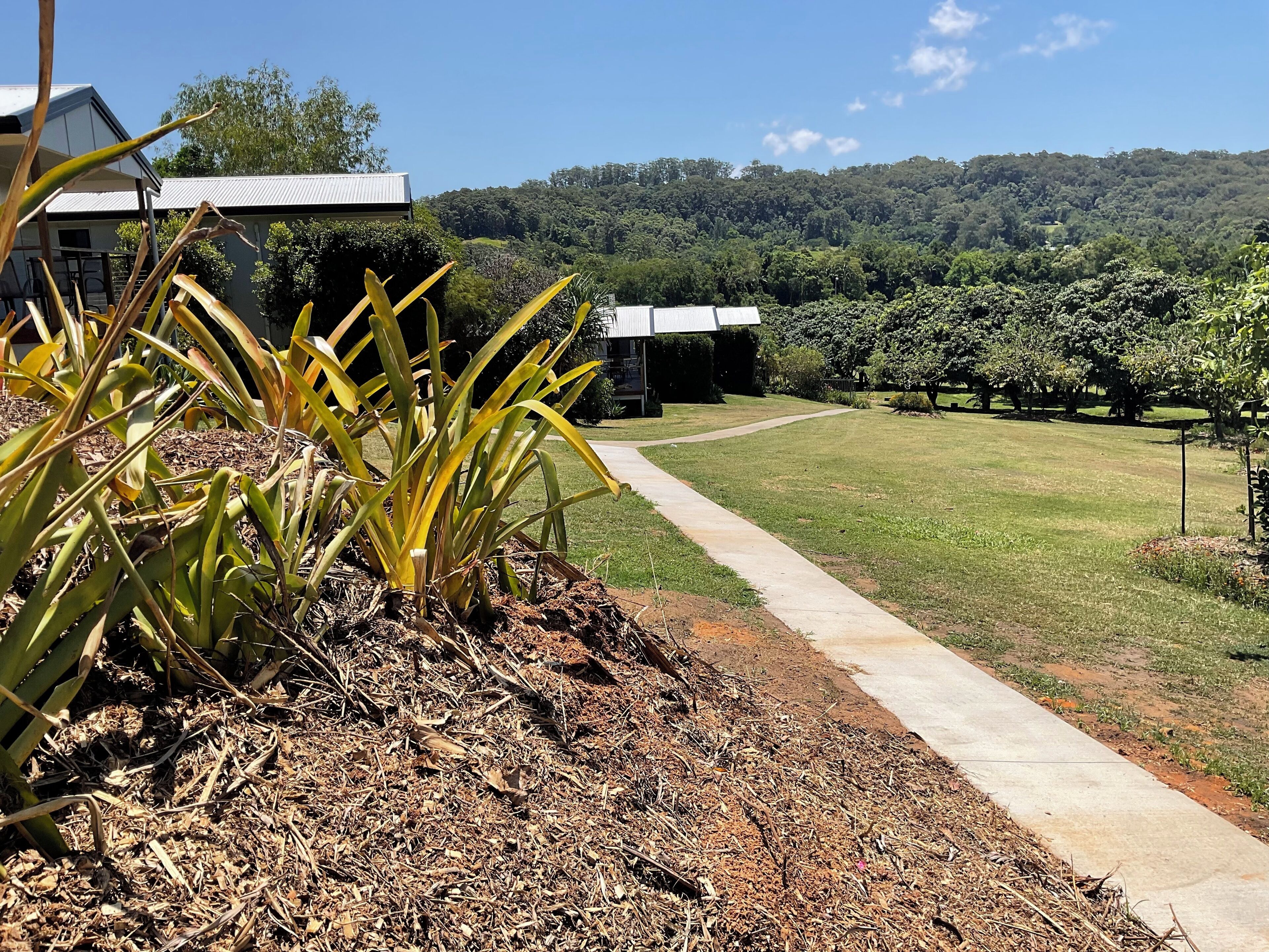 Um jardim ajardinado com um caminho que leva a um edifício de telhado branco.