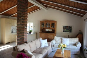 TV, libri, biblioteca musicale, impianto stereo