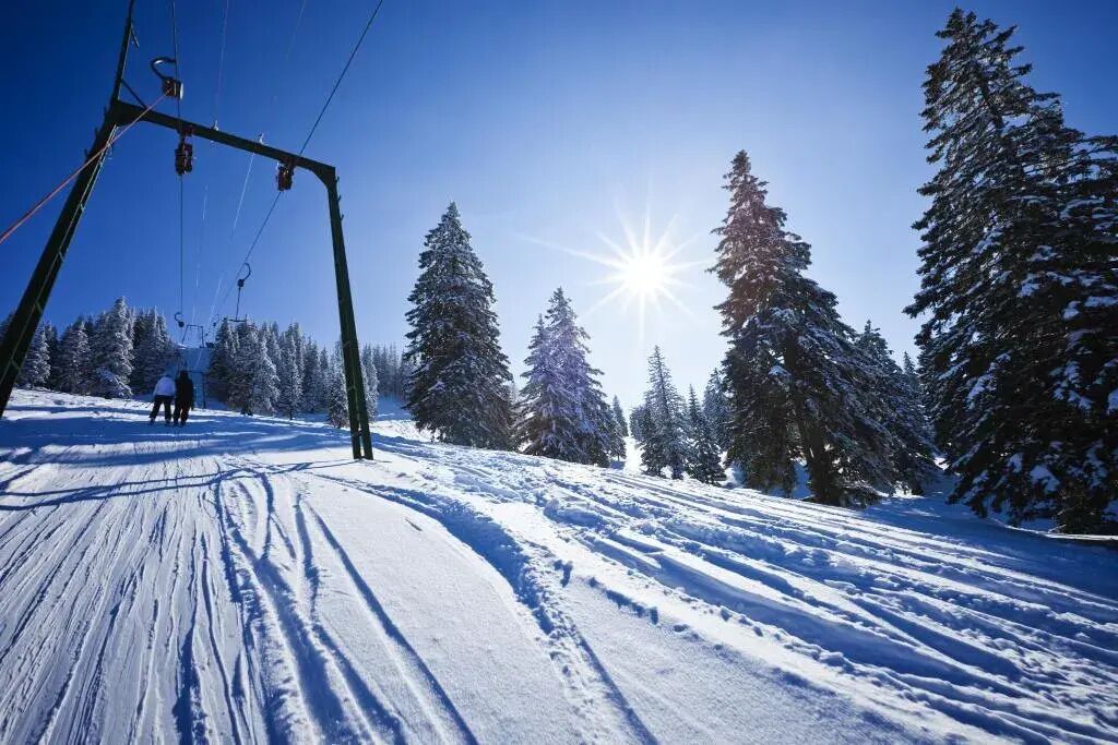 Un telesilla con cielo despejado y árboles cubiertos de nieve.