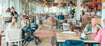 Holiday apartment - Paviljoenwei 12 | Offingawier