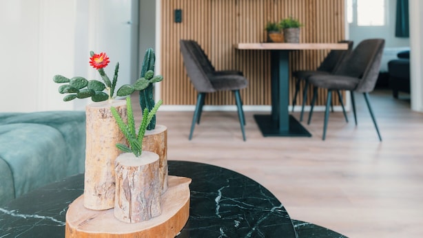 Un salon moderne avec une table et des chaises de salle à manger en bois, une table basse ornée d’un cactus et d’une fleur, et un lambris en bois en arrière-plan.