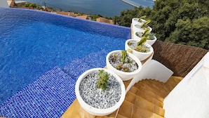 Ein Pool mit blau mosaikbesetztem Rand, umgeben von weißen Pflanzgefäßen mit verschiedenen Pflanzen.