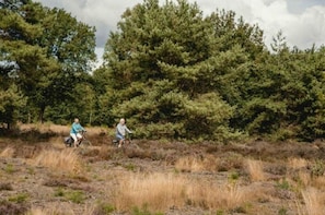 Terrain de l’hébergement