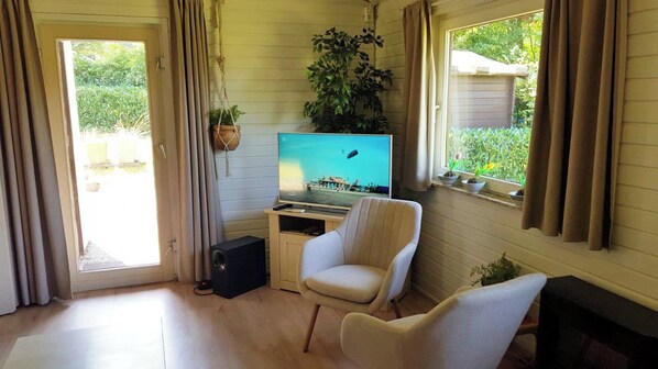 TV